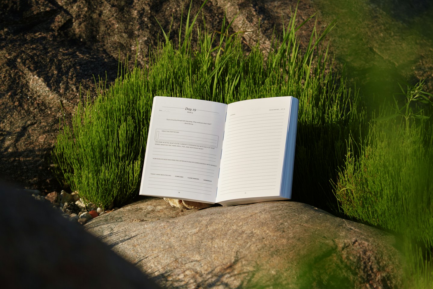 Open journal on a grey rock with green grass.